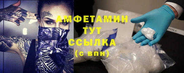 хмурый Гусь-Хрустальный