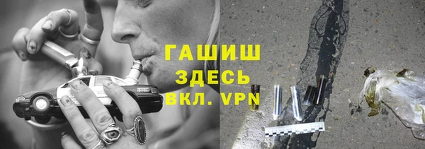 хмурый Гусь-Хрустальный