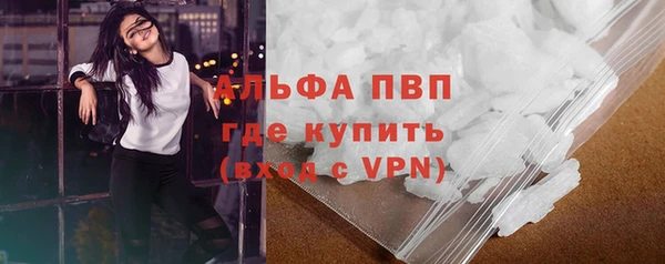 хмурый Гусь-Хрустальный