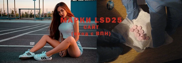 хмурый Гусь-Хрустальный