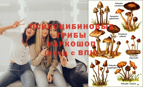 хмурый Гусь-Хрустальный