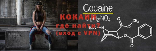 хмурый Гусь-Хрустальный