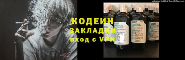 хмурый Гусь-Хрустальный