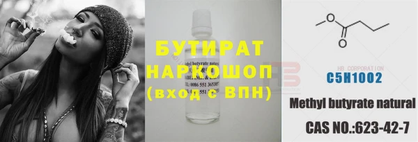 хмурый Гусь-Хрустальный