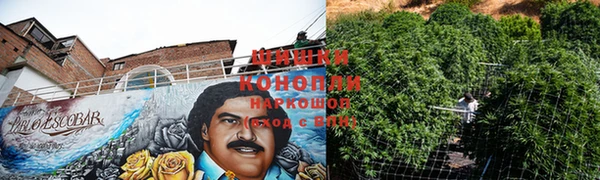 скорость Гусев