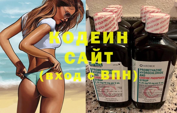 хмурый Гусь-Хрустальный