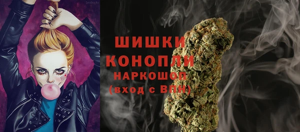 хмурый Гусь-Хрустальный