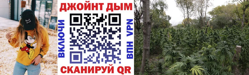 Каннабис OG Kush  Купить закладки  Малмыж 